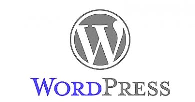WordPress logo II