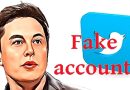 Elon Musk - Twitter a fake accounts