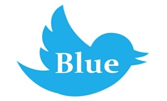 Twitter Blue Logo